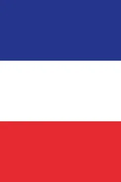 Vertical French flag Stock Illustration