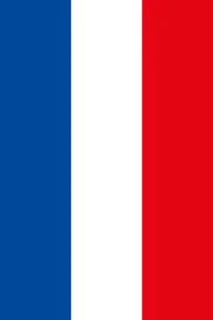 Vertical French flag Stock Illustration