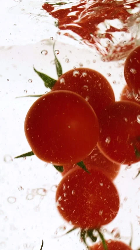 Vertical fresh red cherry tomatoes moving and splashing in water in slow motion Stock Footage 312208510