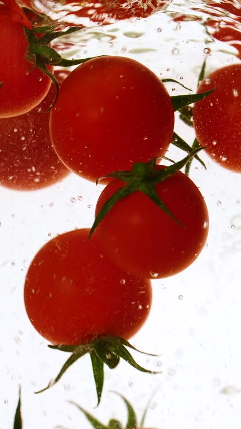 Vertical fresh red cherry tomatoes moving and splashing in water in slow motion Stock Footage 313858311