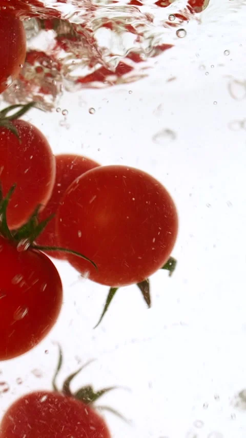 Vertical fresh red cherry tomatoes moving and splashing in water in slow motion Stock Footage 319460798