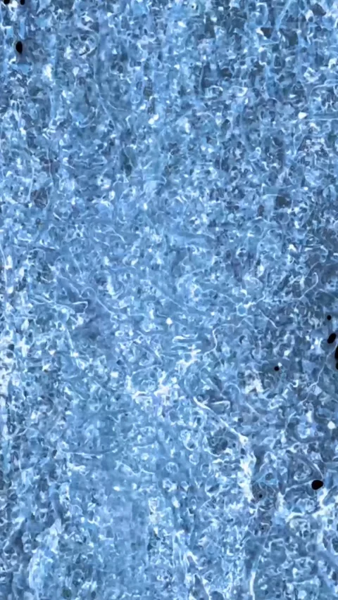 Vertical Fresh Water Rising Loop Background Animation 스톡 동영상 283530031