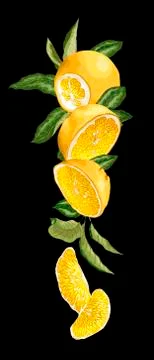 Vertical fruit decor line with orange fruit, halves, leaves and sllices  made Stock Illustration