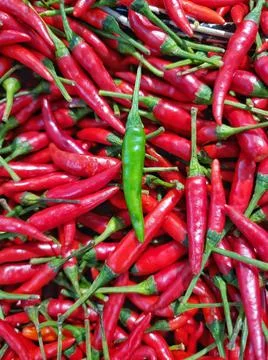 Vertical full frame of fresh green Thai chilli on red chilli background at ma Foto stock