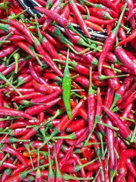 Vertical full frame of fresh green Thai chilli on red chilli background at ma Foto stock