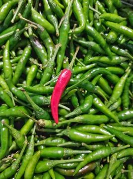 Vertical full frame of fresh red Thai chilli on green chilli background at ma Foto stock