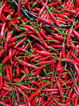Vertical full frame of fresh red Thai chilli at market for sell Foto stock