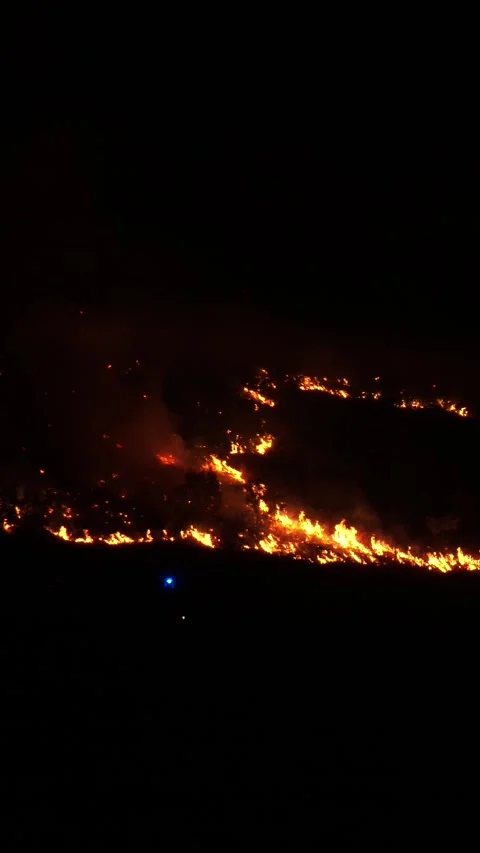 Vertical full HD night footage of forest fire Stock Footage 313111138