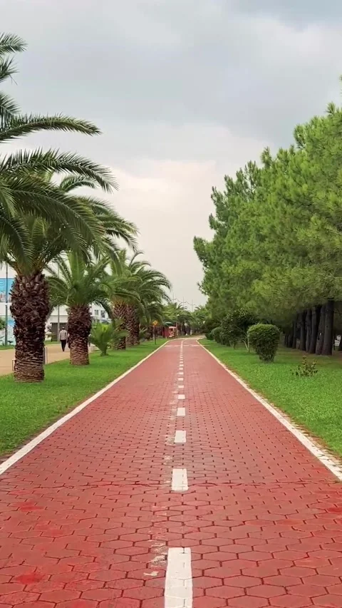 Vertical Full HD video. Red bike path along beach promenade with palm trees Stock Footage 278518005