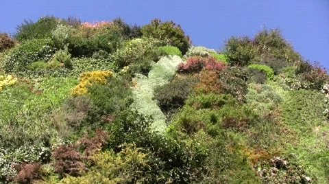 Vertical Garden 03 Stock Footage 333539