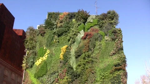 Vertical Garden 04 Stock Footage 329983