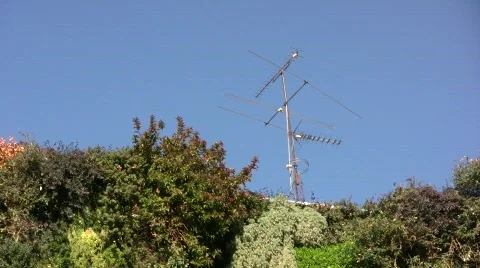 Vertical Garden 05 Stock Footage 329966