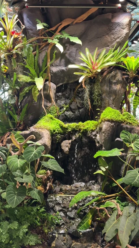 Vertical Garden of Fresh Plants with small waterfall and pond 스톡 동영상 342536425