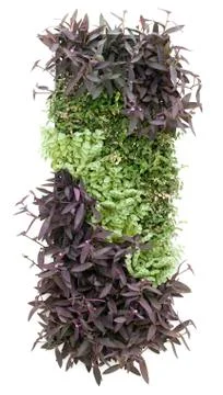 Vertical garden Stock Photos