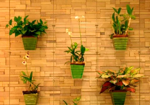 Vertical garden Stock Photos