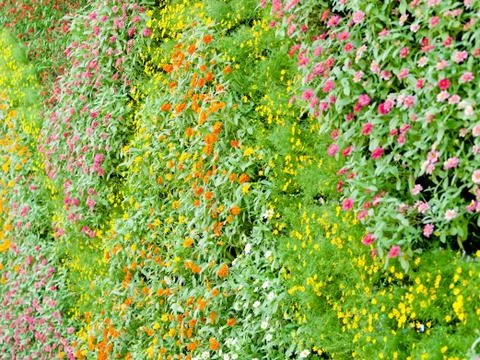 Vertical garden Stock Photos