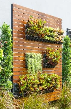 Vertical garden Stock Photos