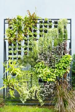 Vertical garden Stock Photos