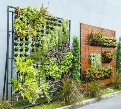 Vertical garden Stock Photos