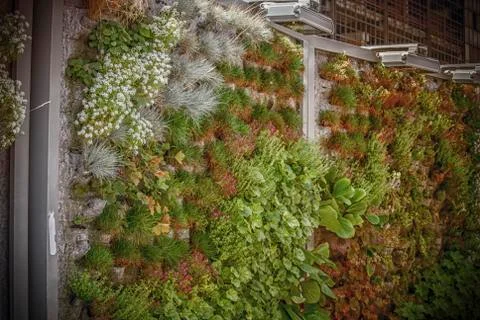 Vertical Garden Stock Photos