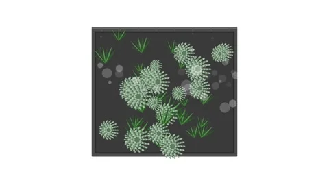 Vertical Garden Wall with Ferns and Succulents Misting System Motion Graphic Stock Footage 346612367