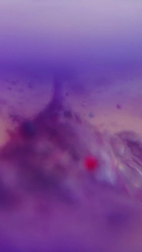 Vertical Gel fluid splash paint bubble purple ink droplet Stock Footage 274690063