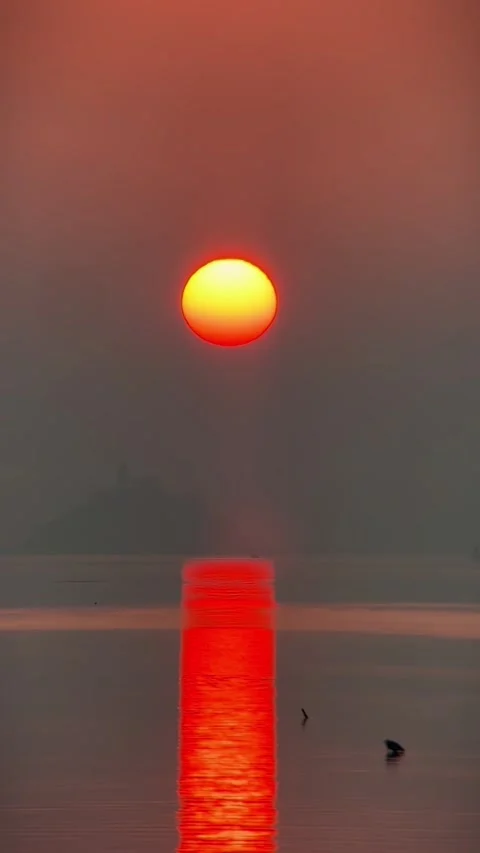Vertical  Giant Red Sun Rising with Vibrant Reflection on Calm Water Stock Footage 332473764