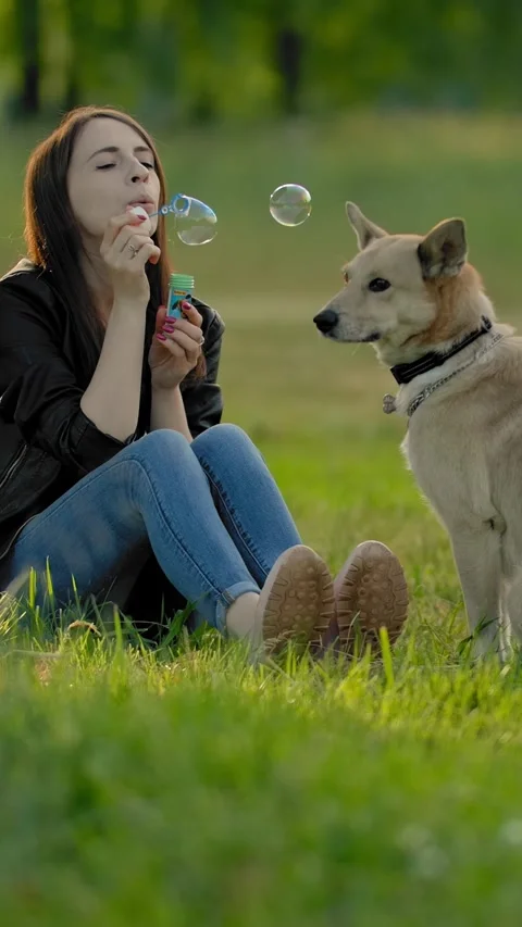 Vertical of A girl blows soap bubbles in the park at her dog. Stock Footage 278475547
