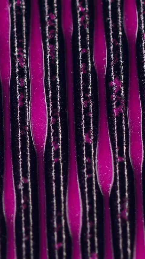 Vertical glitter paint drip stripe pattern pink Stock Footage 284292476