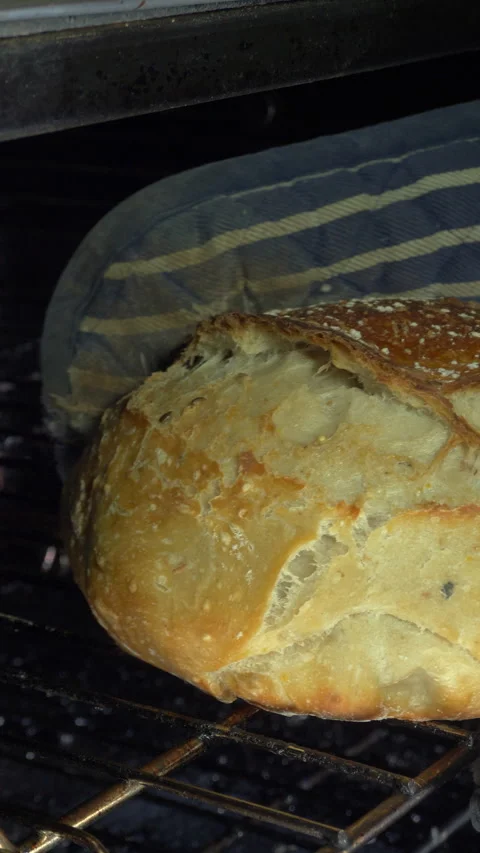 Vertical - Gloved hands removing a crusty baked loaf from an oven rack. Stock Footage 290188184