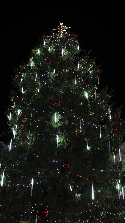 Vertical glowing christmas tree Stock Footage 325073675