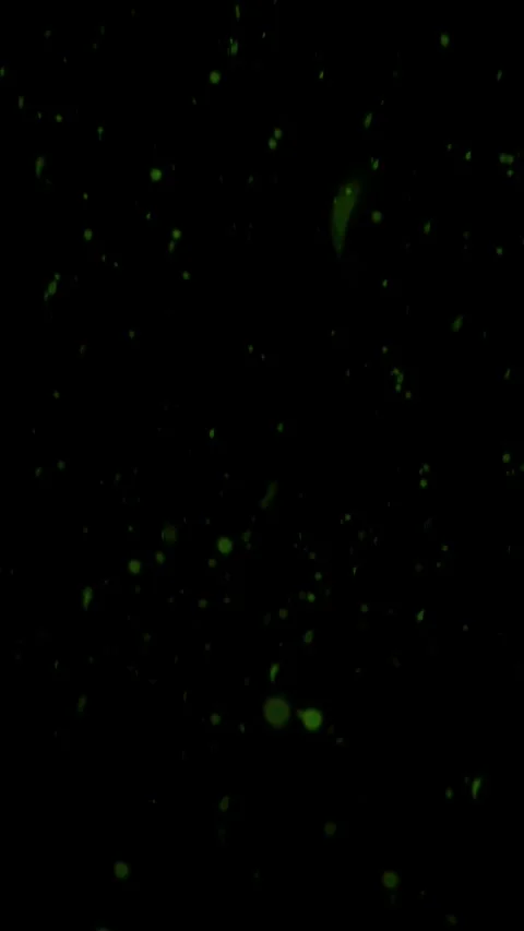 Vertical Glowing Green Fire Sparks Embers Rising 4K Loop Stock Footage 336535446