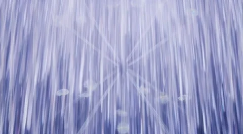 Vertical glowing lines with floating seeds Stock Footage 331455463