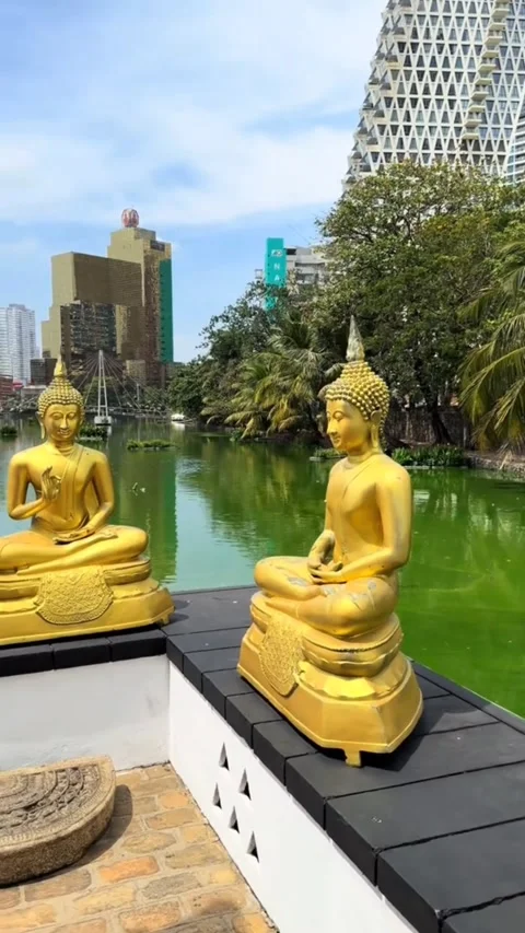 Vertical Golden Buddha Statues at Seema Malaka Temple Colombo Skyline Stock Footage 330188948