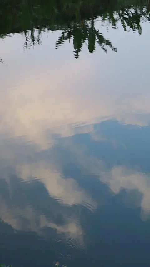 Vertical golden cloud reflection in calm pond with ripples, Indonesia Stock Footage 342095619