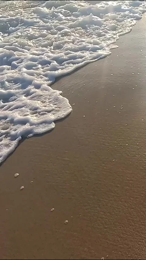 Vertical Golden Hour Beach and Ocean Waves 库存影片 336201703