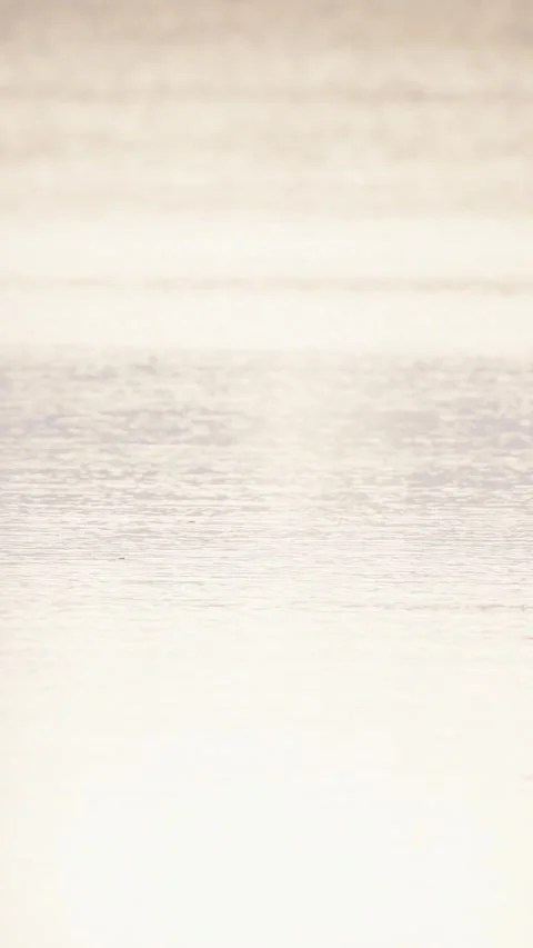 Vertical Golden Sunlight Reflections on Water Ripples – Loopable 4K Background Stock Footage 341481687