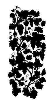 Vertical grape vine silhouette. Illustrazione stock