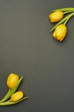 Vertical gray background in the lower and upper corners of which there are two  Stock Photos