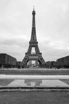 Vertical grayscale of the Eiffel Tower reflecting on the ground, France, Paris 스톡 사진
