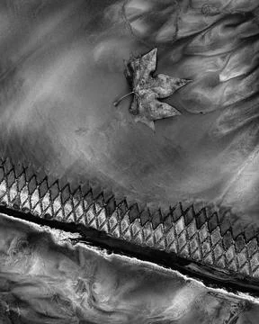 Vertical grayscale illustration of an abstract pattern with a small maple lea Stock Photos