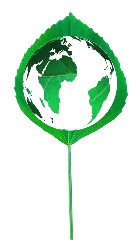 A vertical green leaf designed in shape of a world map. Stock Footage 340210140