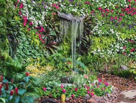 Vertical green leaf garden wall with waterfall. Stock Photos