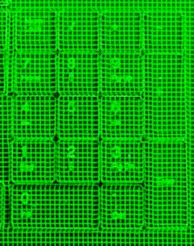 Vertical green matrix keypad abstraction backdrop Stock Illustration