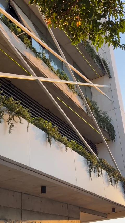 Vertical green wall with lush plants covers building facade creating biophilic Stock-Footage 334681220