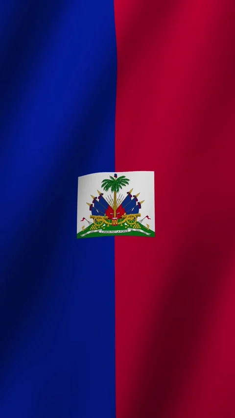 Vertical Haiti Flag Animated 4k video Stock Footage 296496185