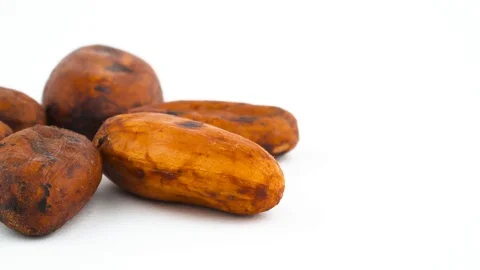 Vertical half frame of four dried cacao beans. Slowly rotating on the turntable Stock Footage 96329791