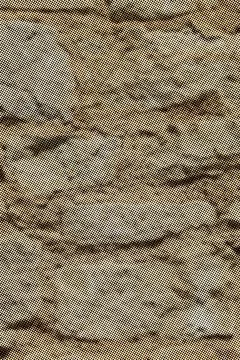 Vertical Halftone Texture Dotted Sandstone Pattern Distressed Mineral Stock Illustration