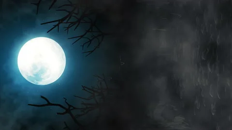 Vertical halloween background with bats and pumpkins, graves, at misty night Stock Footage 158344560