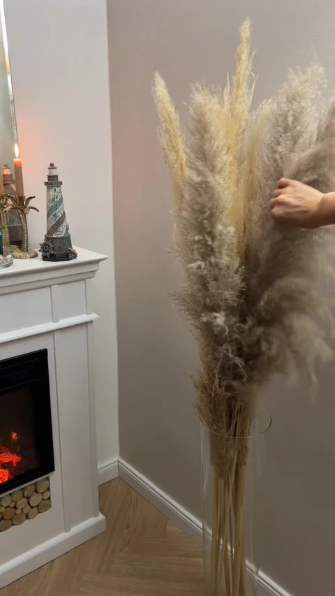 Vertical hand arranging pampas grass in floor glass vase near home fireplace Video stock 346488645